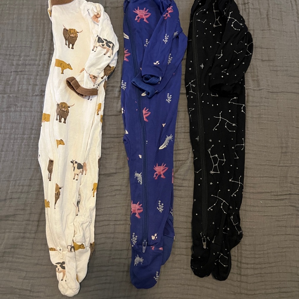 Set of Three Baby Footed Pajamas - Animal, Blue, and Black Designs